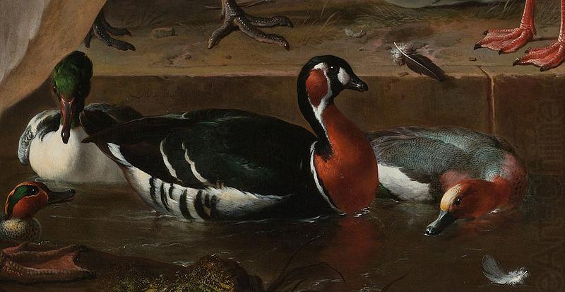 HONDECOETER, Melchior d A Pelican and Other Birds Near a Pool, known as 'The Floating Feather' oil painting picture